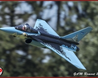 TSR Watermark - 0430